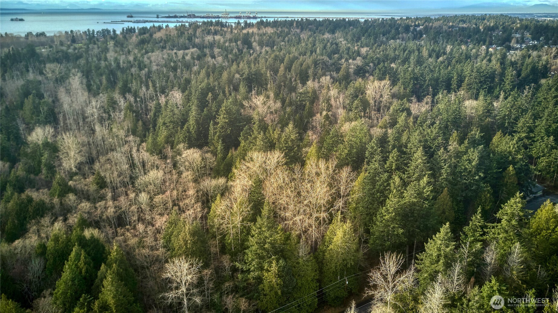 0 Tyee Drive Point Roberts WA 98281