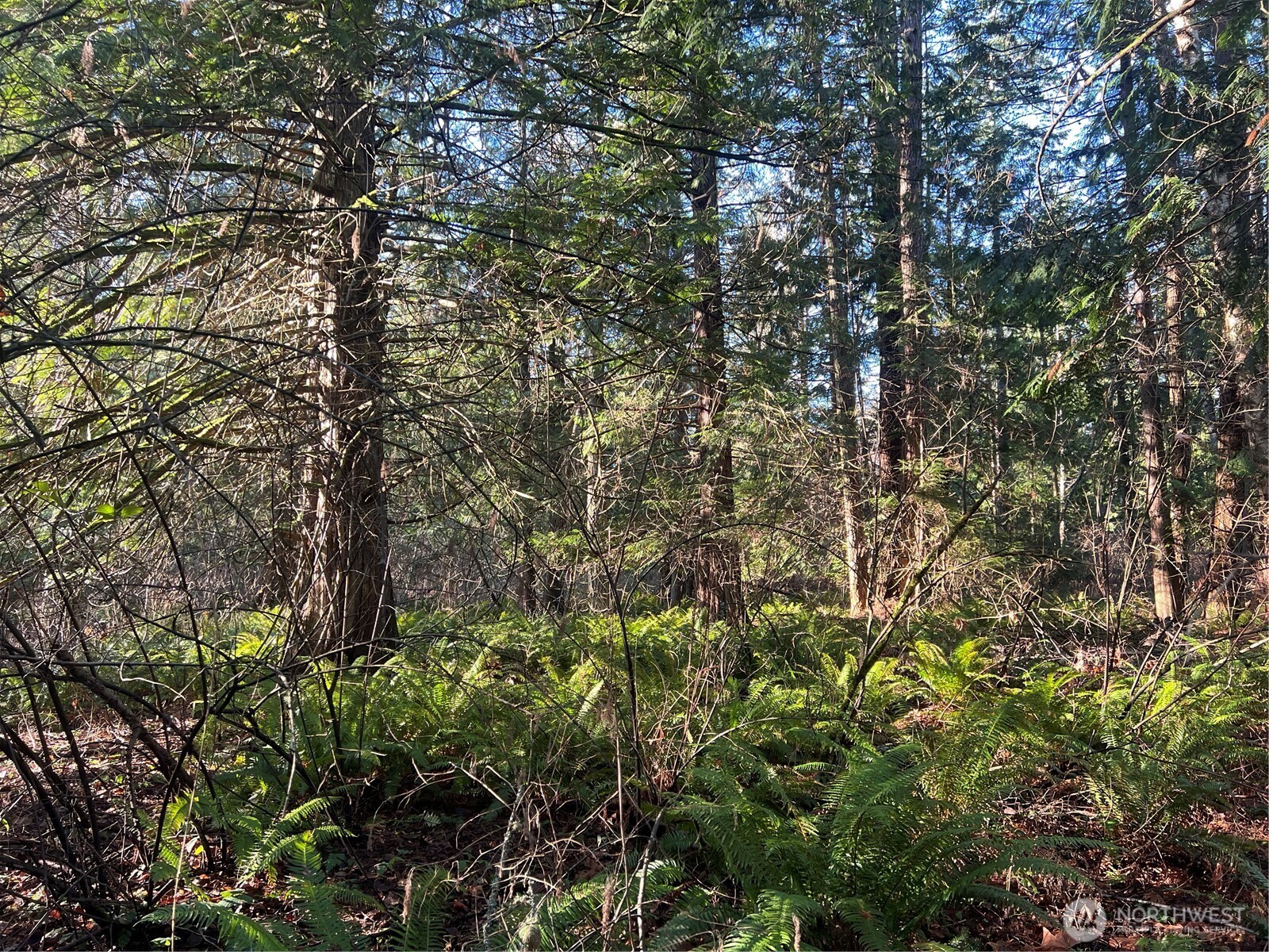 0 Tyee Drive Point Roberts WA 98281