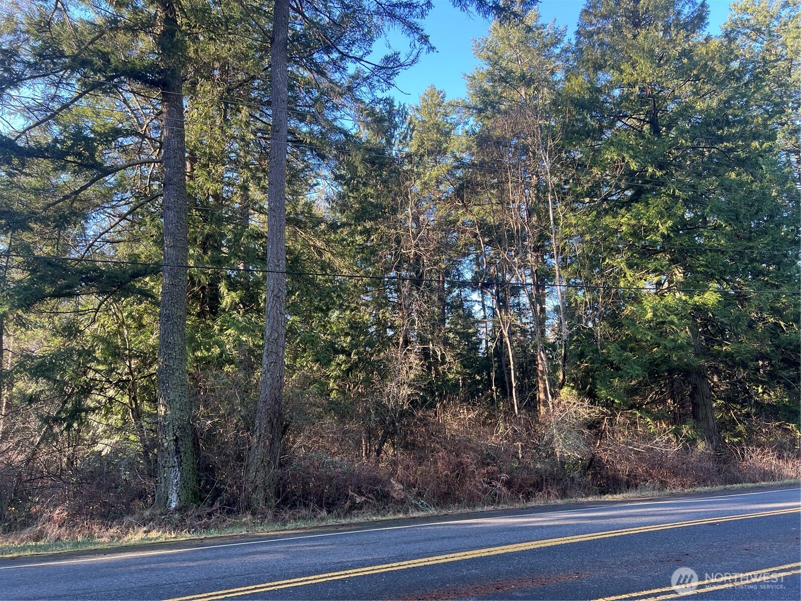 0 Tyee Drive Point Roberts WA 98281