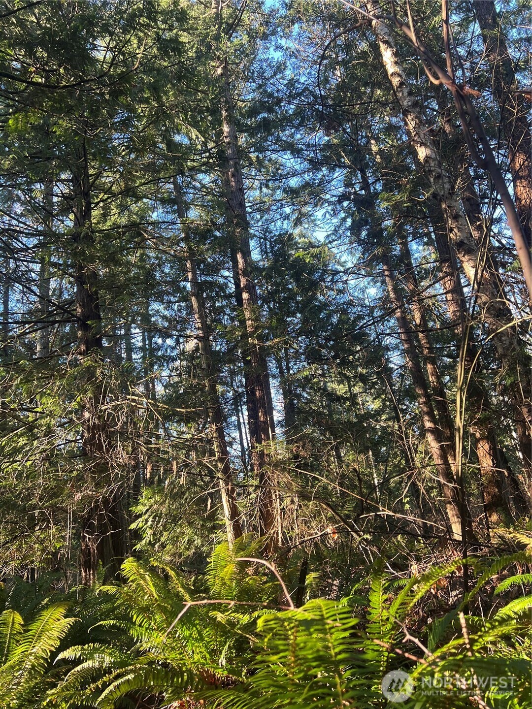 0 Tyee Drive Point Roberts WA 98281