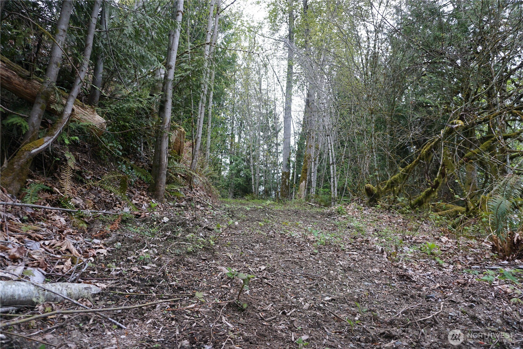 18107 213th Avenue Ct E Orting WA 98360