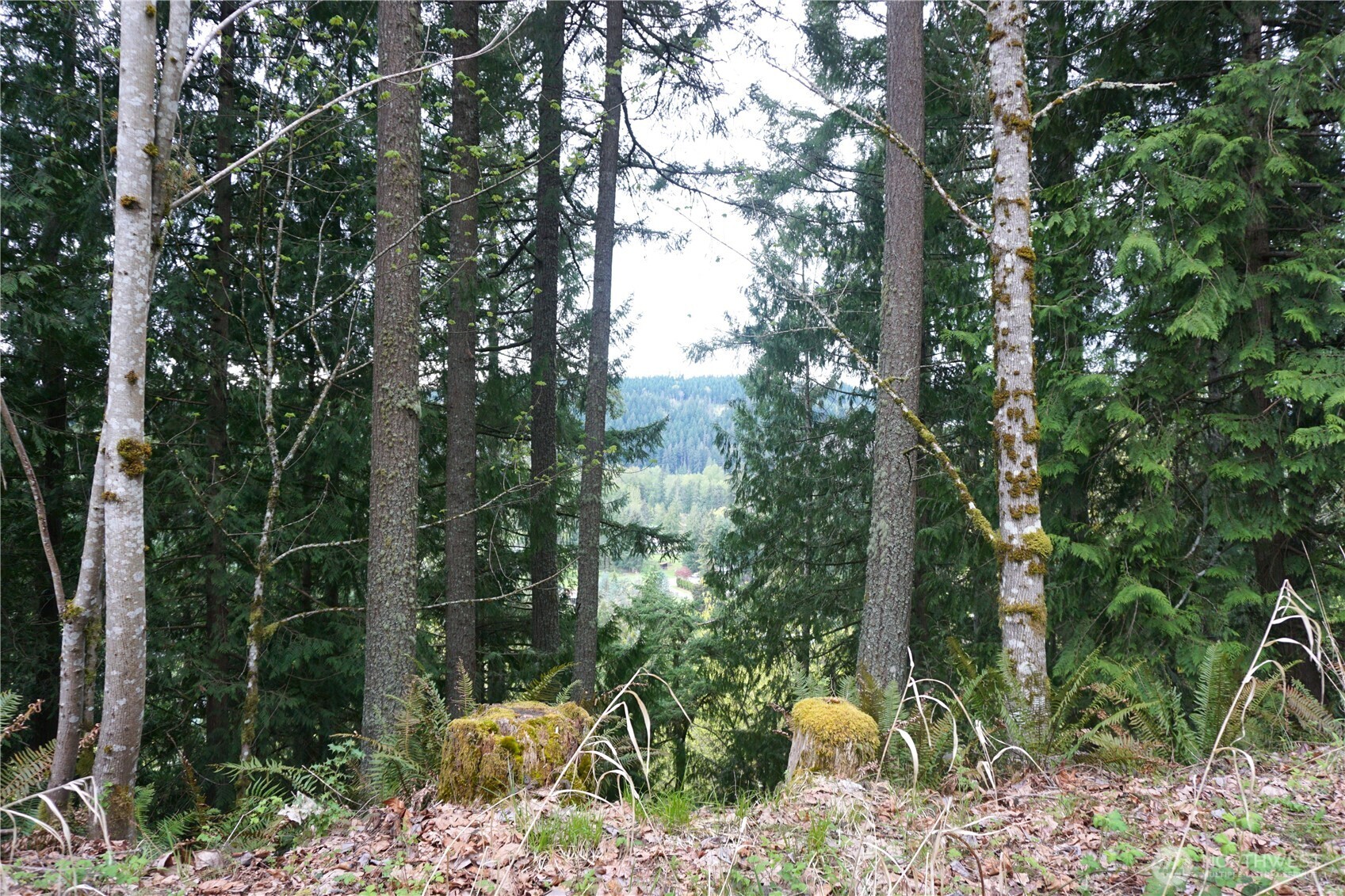 18107 213th Avenue Ct E Orting WA 98360