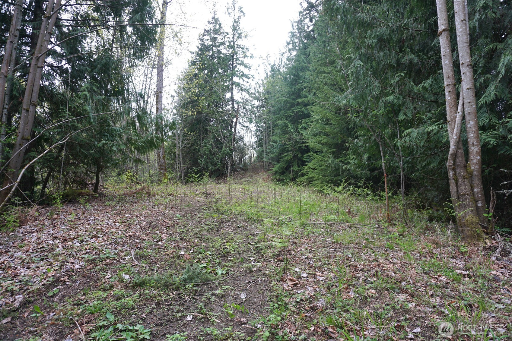 18107 213th Avenue Ct E Orting WA 98360