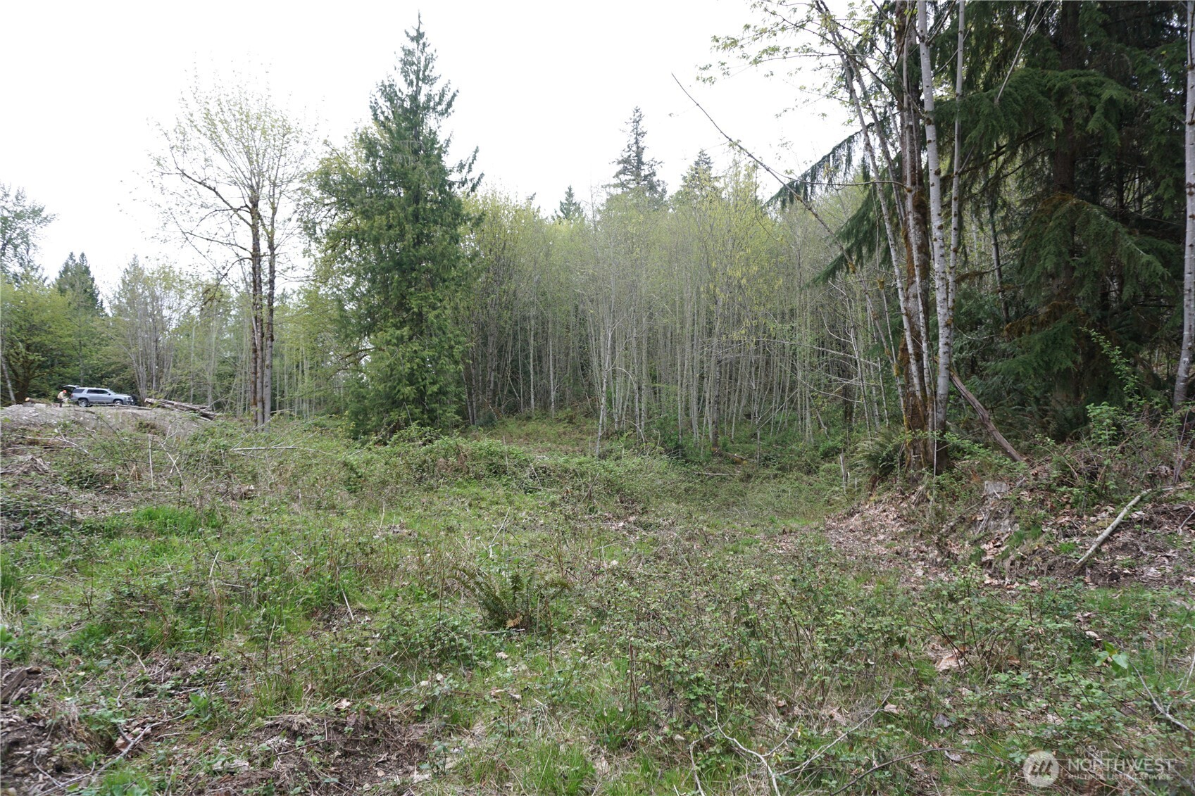 18107 213th Avenue Ct E Orting WA 98360