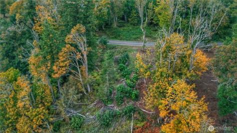 0 S Camano Drive Camano Island WA 98282