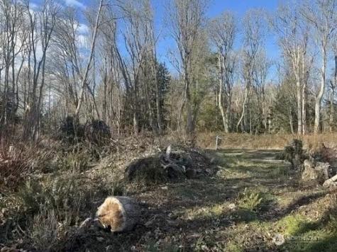 0 S Camano Drive Camano Island WA 98282