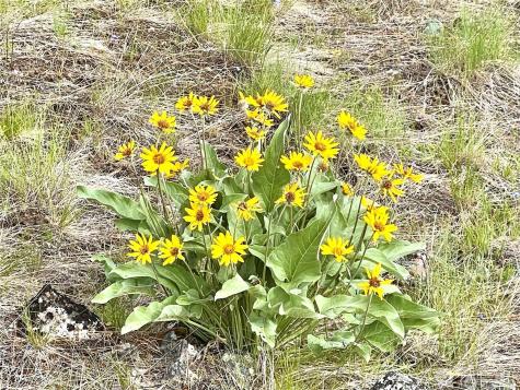 0 B Chopaka Way Tonasket WA 98855