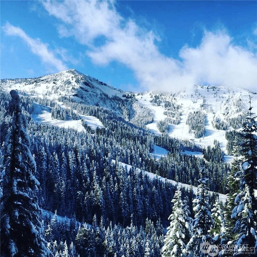 319 Gold Hill Road Lot 4 Greenwater WA 98022