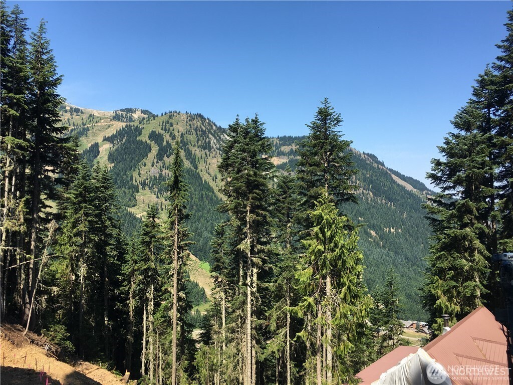 319 Gold Hill Road Lot 4 Greenwater WA 98022