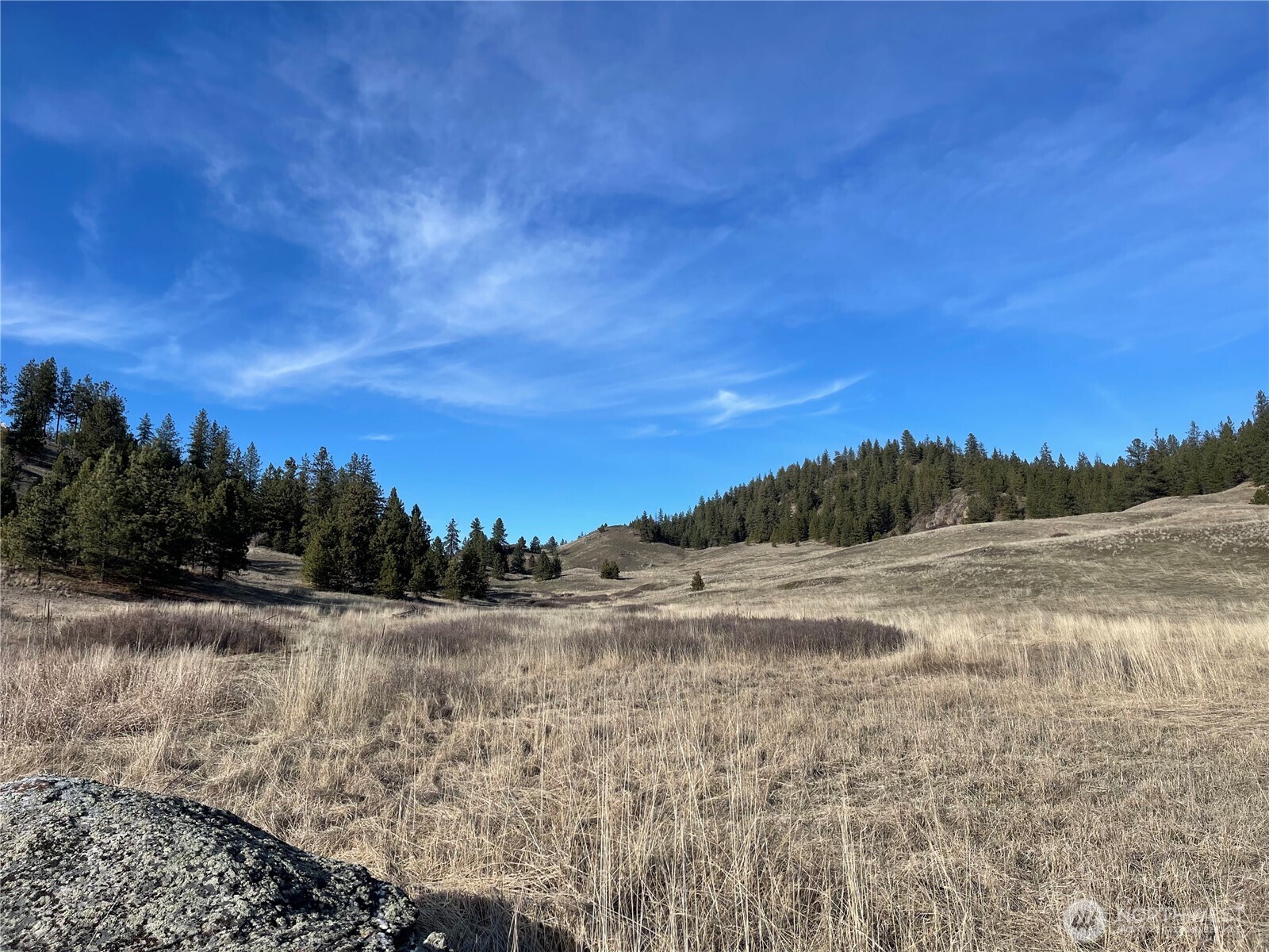 5170 Pheasant Way Fruitland WA 99129