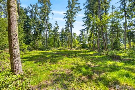 0 Evergreen Lane Freeland WA 98249