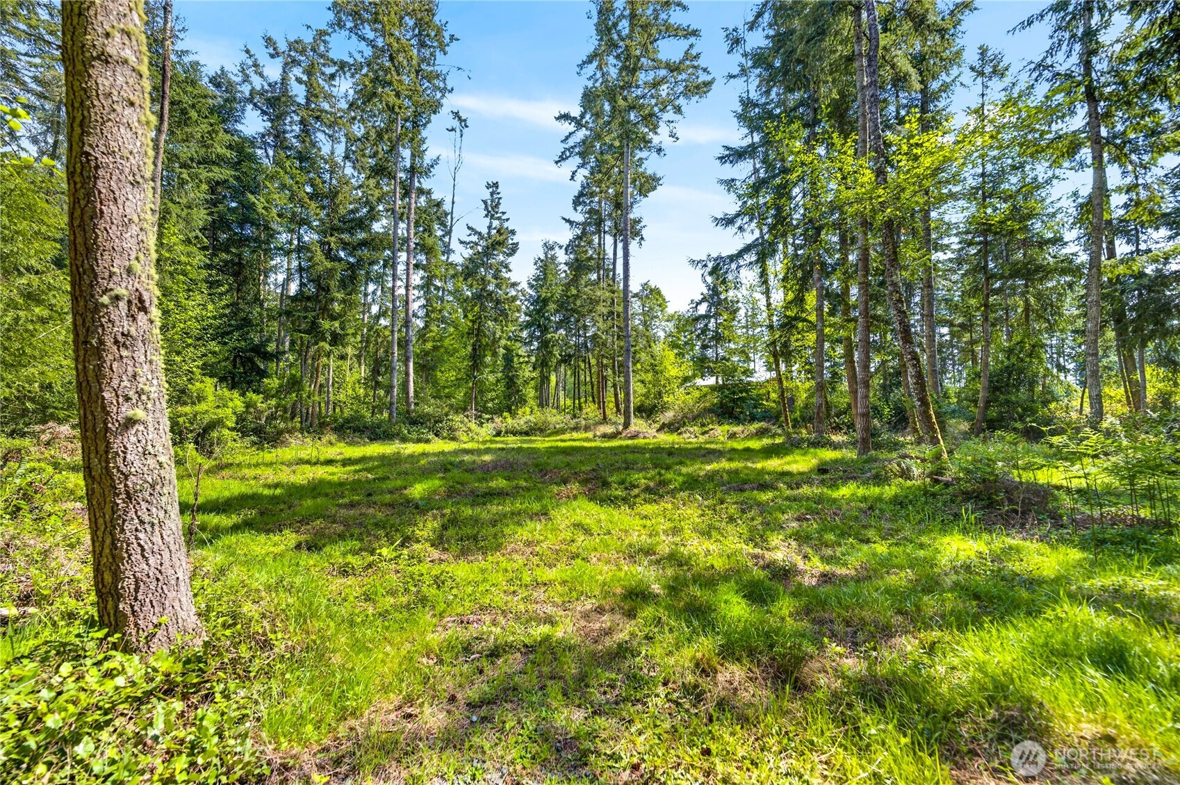 0 Evergreen Lane Freeland WA 98249