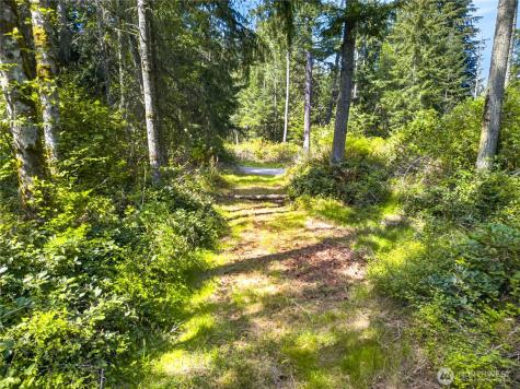 0 Evergreen Lane Freeland WA 98249