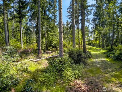 0 Evergreen Lane Freeland WA 98249