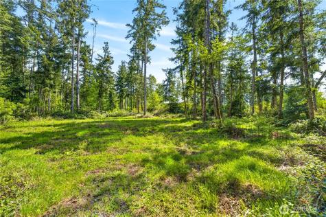 0 Evergreen Lane Freeland WA 98249
