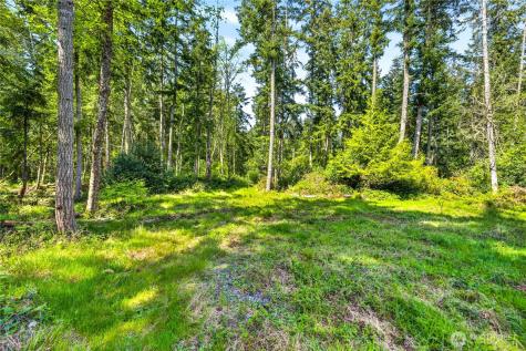 0 Evergreen Lane Freeland WA 98249