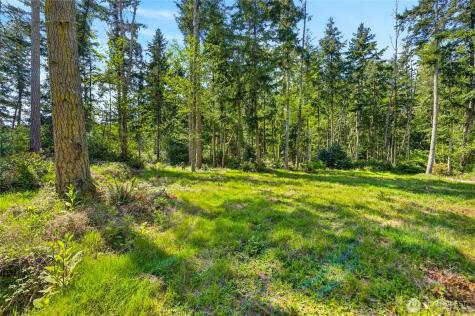 0 Evergreen Lane Freeland WA 98249