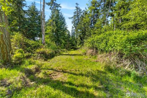 0 Evergreen Lane Freeland WA 98249