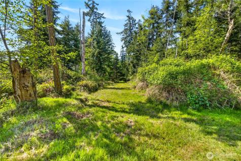 0 Evergreen Lane Freeland WA 98249
