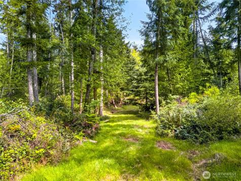 0 Evergreen Lane Freeland WA 98249