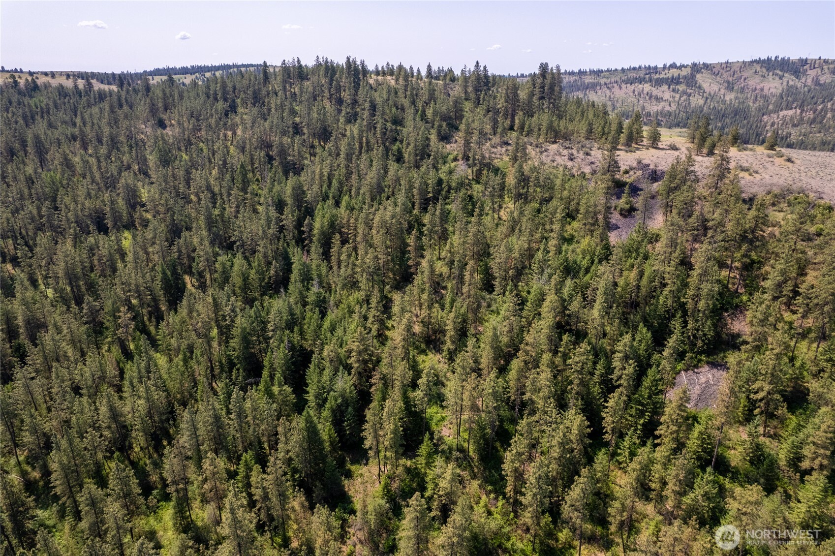 0 Peter Dan Creek Road Coulee Dam WA 99116