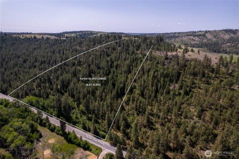 0 Peter Dan Creek Road Coulee Dam WA 99116