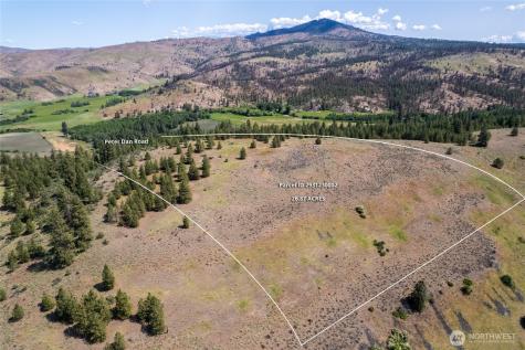 0 Peter Dan Creek Road Coulee Dam WA 99116