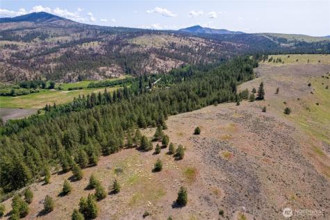 0 Peter Dan Creek Road Coulee Dam WA 99116