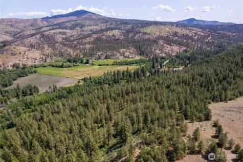 0 Peter Dan Creek Road Coulee Dam WA 99116