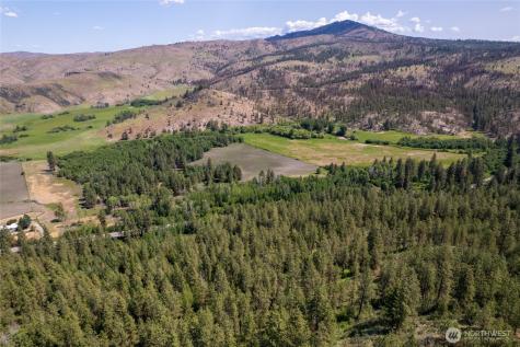 0 Peter Dan Creek Road Coulee Dam WA 99116