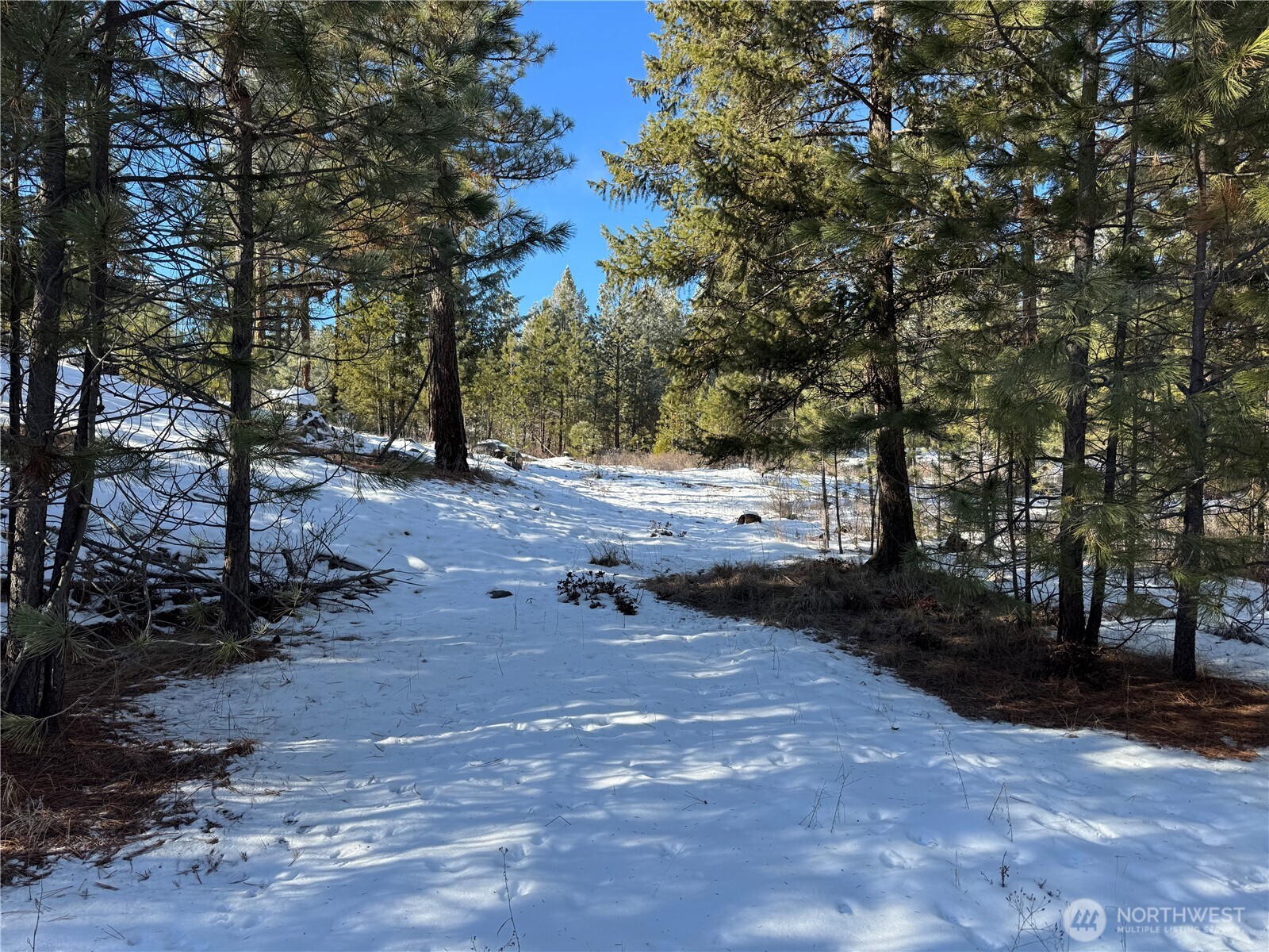 0 Tbd Cartwright Drive Tonasket WA 98855