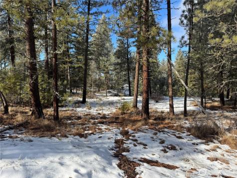 0 Tbd Cartwright Drive Tonasket WA 98855