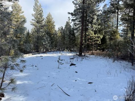 0 Tbd Cartwright Drive Tonasket WA 98855