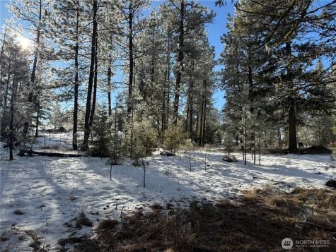 0 Tbd Cartwright Drive Tonasket WA 98855