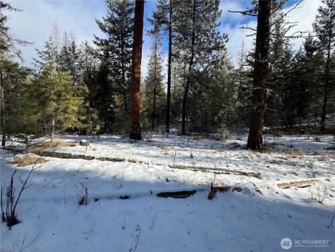 0 Tbd Cartwright Drive Tonasket WA 98855
