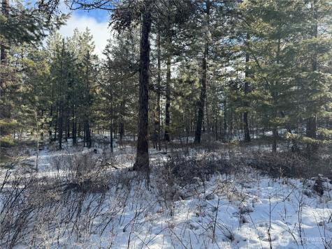 0 Tbd Cartwright Drive Tonasket WA 98855