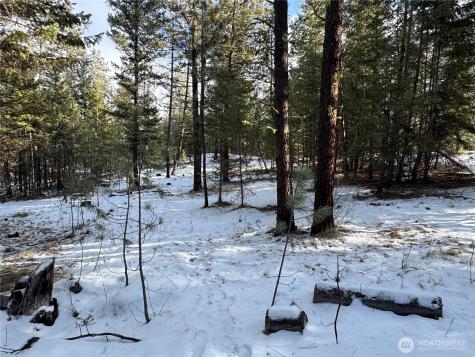 0 Tbd Cartwright Drive Tonasket WA 98855