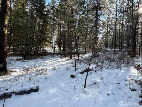 0 Tbd Cartwright Drive Tonasket WA 98855