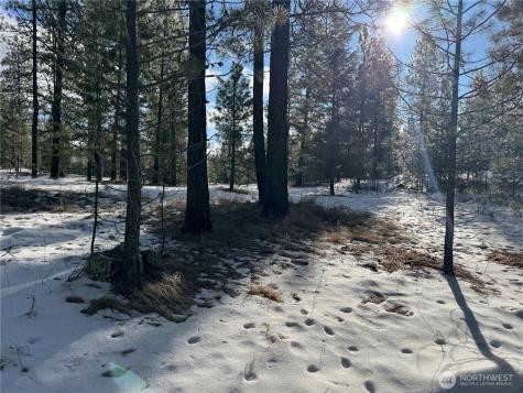 0 Tbd Cartwright Drive Tonasket WA 98855