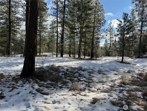 0 Tbd Cartwright Drive Tonasket WA 98855