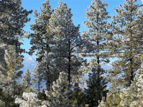 0 Tbd Cartwright Drive Tonasket WA 98855