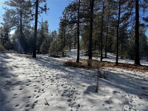 0 Tbd Cartwright Drive Tonasket WA 98855