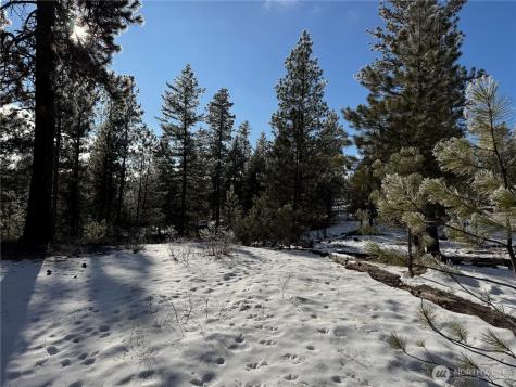 0 Tbd Cartwright Drive Tonasket WA 98855
