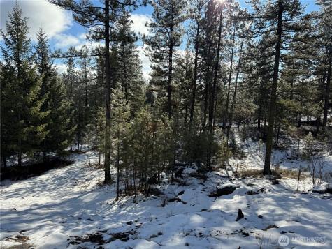 0 Tbd Cartwright Drive Tonasket WA 98855