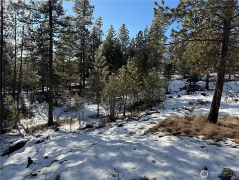 0 Tbd Cartwright Drive Tonasket WA 98855