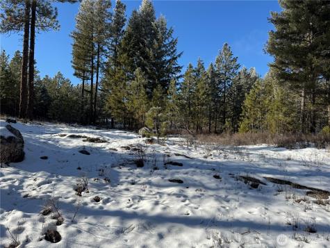 0 Tbd Cartwright Drive Tonasket WA 98855
