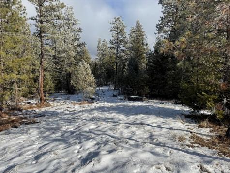 0 Tbd Cartwright Drive Tonasket WA 98855