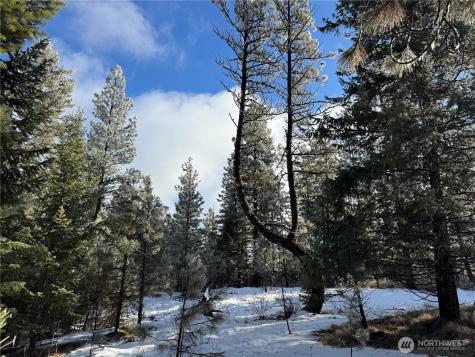 0 Tbd Cartwright Drive Tonasket WA 98855