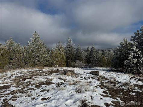 0 Tbd Cartwright Drive Tonasket WA 98855