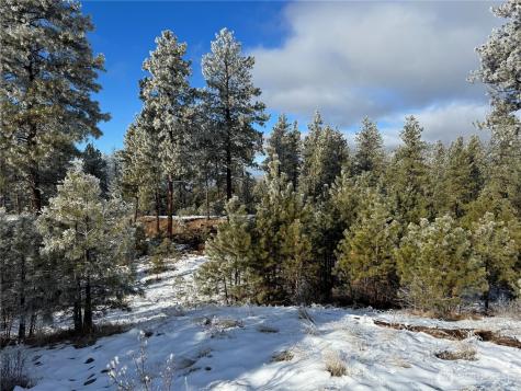 0 Tbd Cartwright Drive Tonasket WA 98855